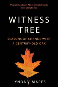 Witness Tree book cover